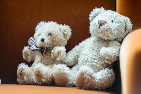 Hôtel Spa Marotte - 93