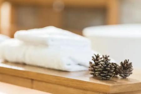 Hôtel Spa Marotte - 90