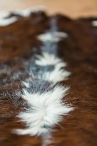 Hôtel Spa Marotte - 97