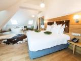 Superior Suite with view