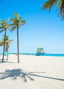 Margaritaville Hollywood Beach Resort - 18