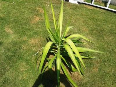 Lighthouse Nadia Aparts - 69