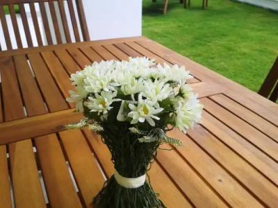 Lighthouse Lydia Villas - 48