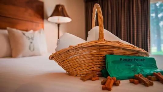 Best Western Ponderosa Lodge - 126