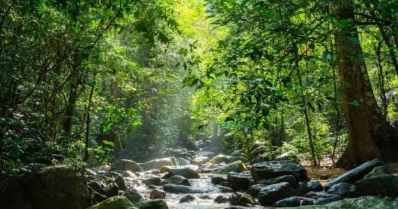 Pova Residence and Boutiques Resort - 17