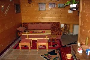 Apartments Vila Selena - Golija, Rudno