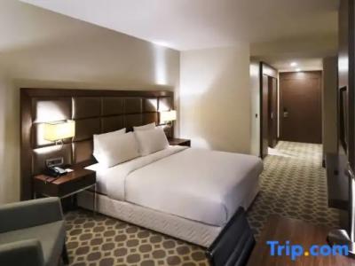 Mercure Istanbul West & Convention Center - 87