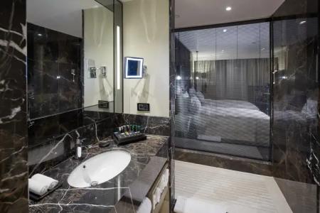 Pullman Istanbul & Convention Center - 6