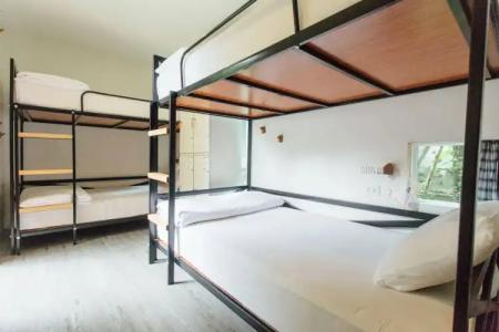 The Yard Bangkok Hostel - 32