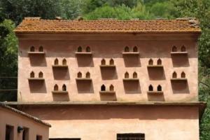 Villa Boldrini b&b, Venturina