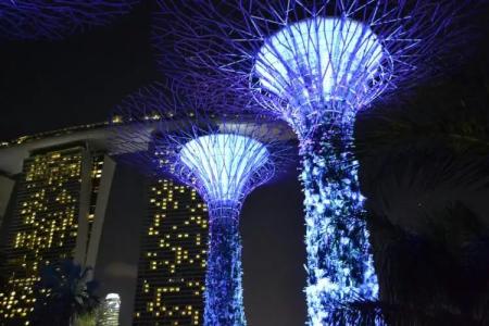 Chancellor@Orchard - 22