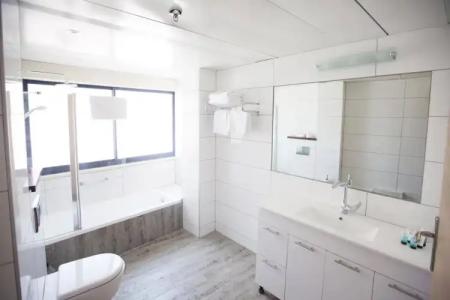 Lion's Heart Former Rimonim Shani - 15