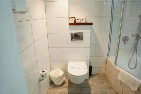 Lion's Heart Former Rimonim Shani - 76