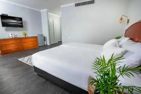 Lion's Heart Former Rimonim Shani - 80