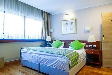 Lion's Heart Former Rimonim Shani - 49