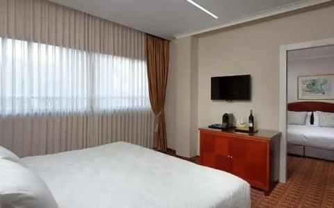 Lion's Heart Former Rimonim Shani - 106