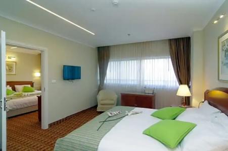 Lion's Heart Former Rimonim Shani - 105