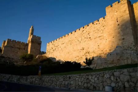 Lion's Heart Former Rimonim Shani - 16