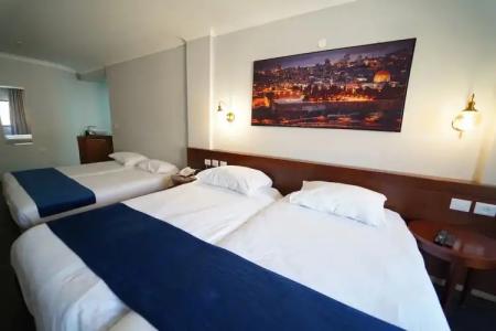 Lion's Heart Former Rimonim Shani - 74