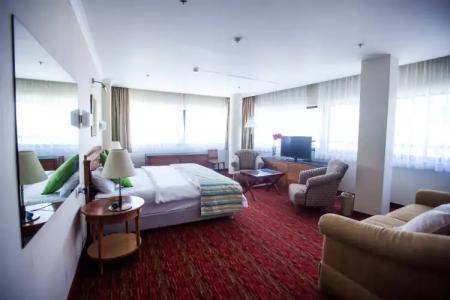 Lion's Heart Former Rimonim Shani - 30