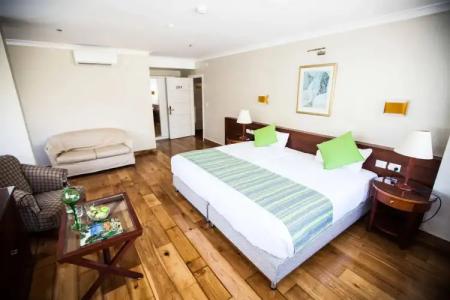 Lion's Heart Former Rimonim Shani - 35