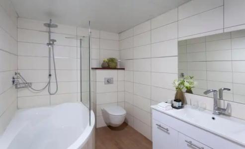 Lion's Heart Former Rimonim Shani - 3