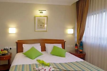 Lion's Heart Former Rimonim Shani - 51