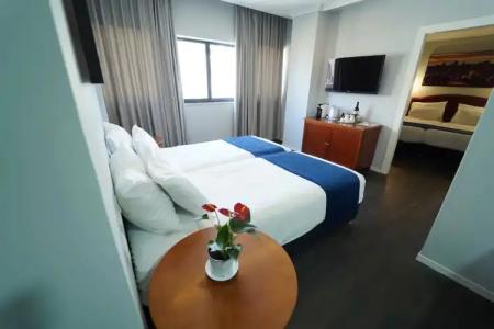 Lion's Heart Former Rimonim Shani - 111