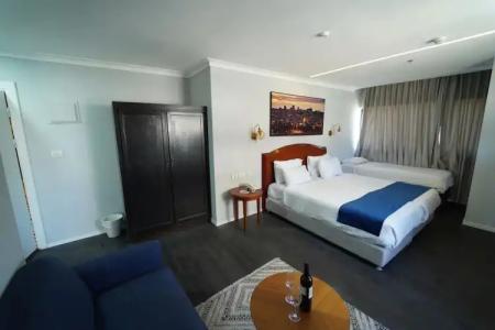 Lion's Heart Former Rimonim Shani - 66