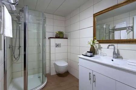 Lion's Heart Former Rimonim Shani - 48