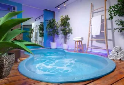 Lion's Heart Former Rimonim Shani - 9