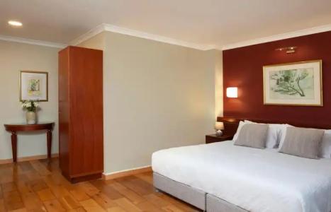 Lion's Heart Former Rimonim Shani - 47