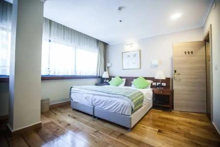 Lion's Heart Former Rimonim Shani - 28