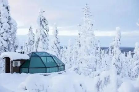 Golden Crown - Levin Iglut - 2