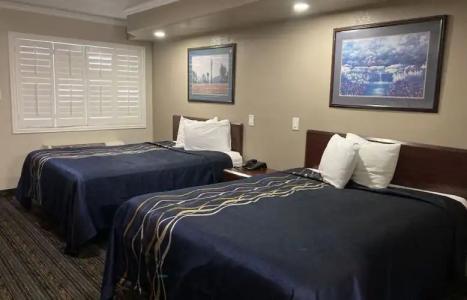 Little Boy Blue Motel - 37