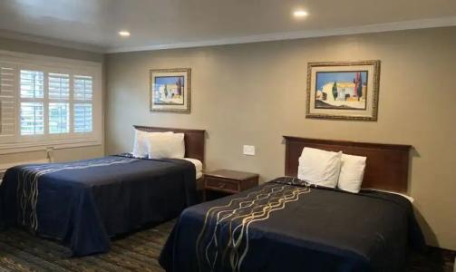 Little Boy Blue Motel - 38