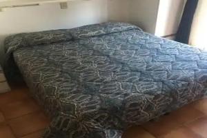 Hotel Le Palme, San Bartolomeo al Mare