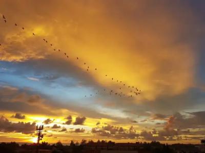 Pan Borneo Kota Kinabalu - 27