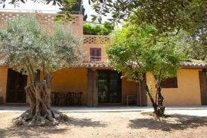 Tenuta Conte Ruggero, Ricadi