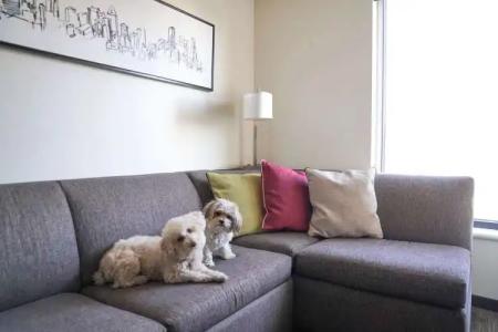 Hyatt House Denver/Downtown - 10