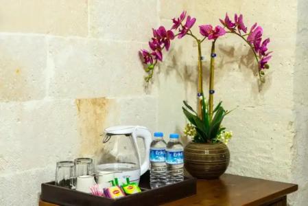 Historical Goreme House - 143