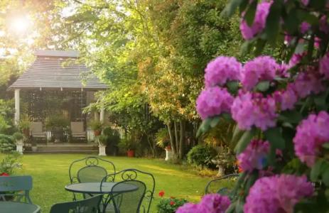 White Doe Inn Bed & Breakfast - 45