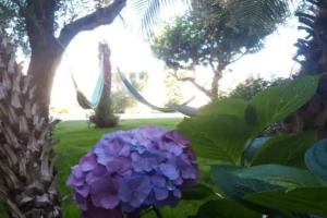 Guest House «Nora», Pula