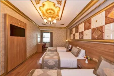 VERSİON - 53