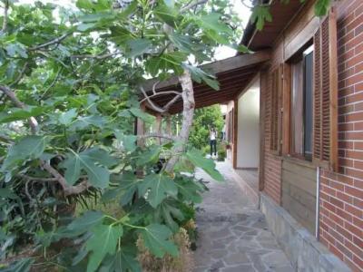 Villas and Bungalows Panorama - 13