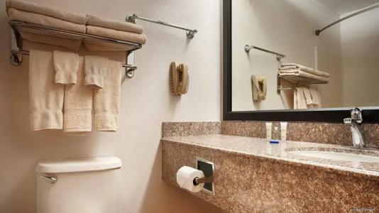 Best Western Plus Lubbock Windsor Inn - 7