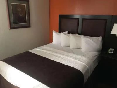 Best Western Plus Lubbock Windsor Inn - 1