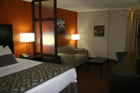 Best Western Plus Lubbock Windsor Inn - 31