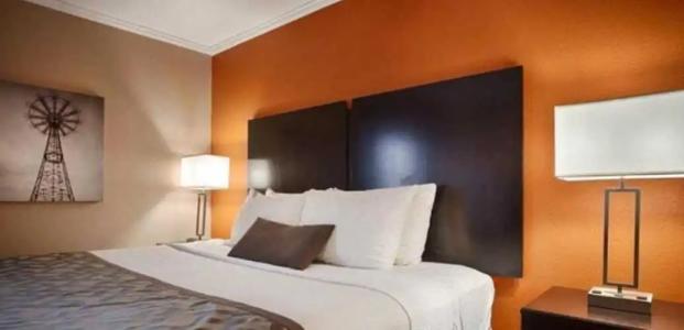 Best Western Plus Lubbock Windsor Inn - 28