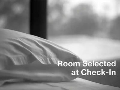 Best Western Plus Lubbock Windsor Inn - 22